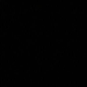 Meet your Posher, Zaineb